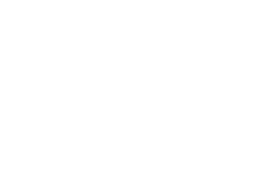 Niederlag Consulting GmbH
